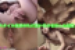 yukimi 28　yukimi