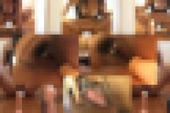 妙子#348 "17 多種多様変態行為/アナル拡張に？・・・　千寿妙子