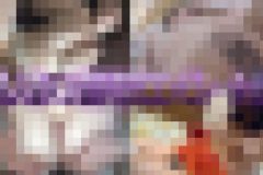 巨乳人妻?３濃厚性交コンピレーション　big tits  wives ?３