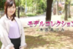 モデルコレクション　